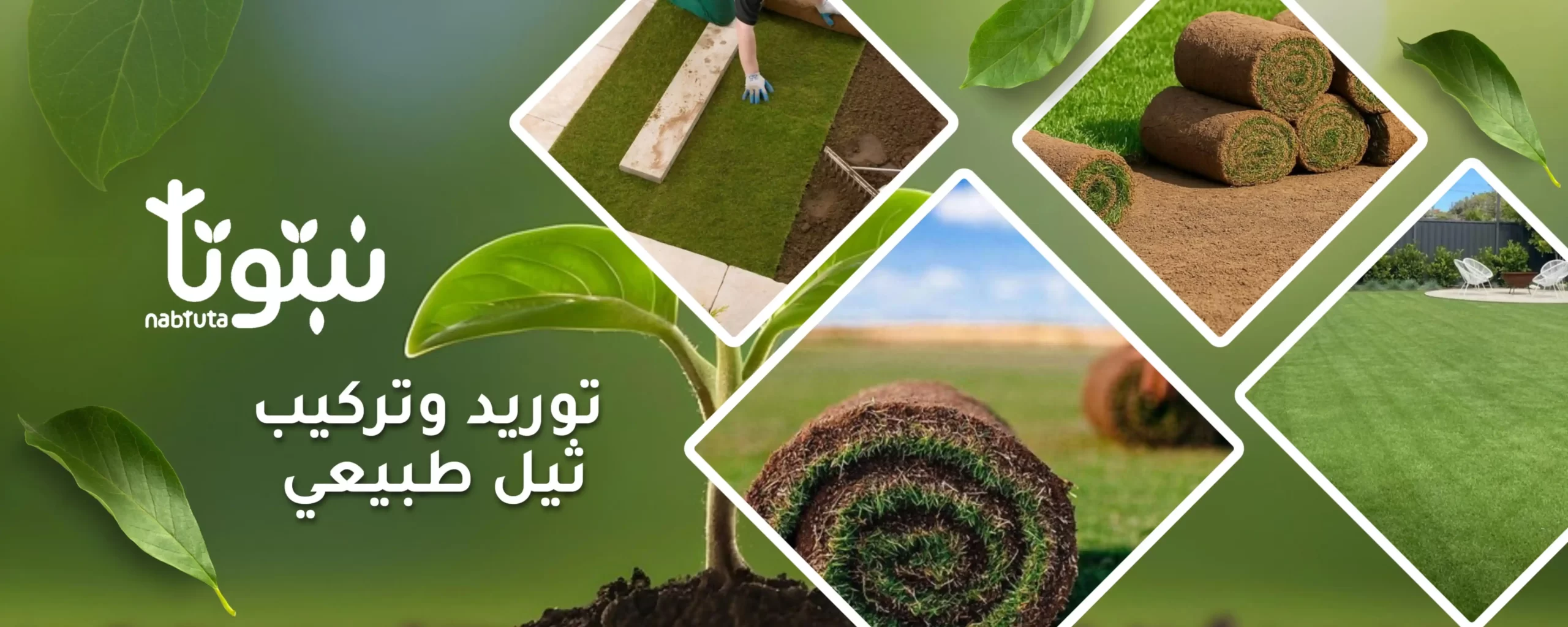 توريد وتركيب ثيل طبيعي - نبتوتا