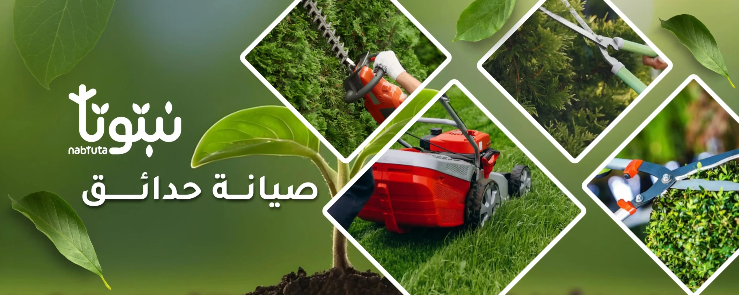 صيانة الحدائق الدورية - نبتوتا