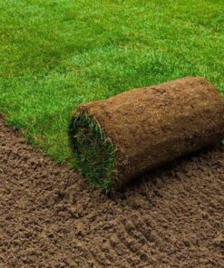 ثيل C2000 طبيعي (عشب - نجيل)  1 متر⁩