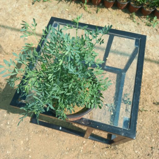 شذاب - مركن 15 سم - الصورة 2