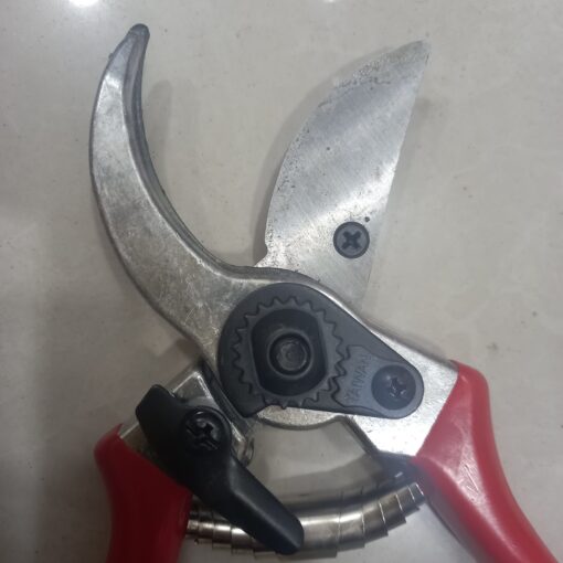 مقص تقليم النباتات والزهور – صناعة تايوانية عالية الجودة - الصورة 3