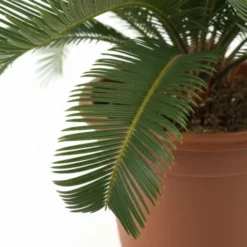نخيل سايكس مركن 15لتر ٣