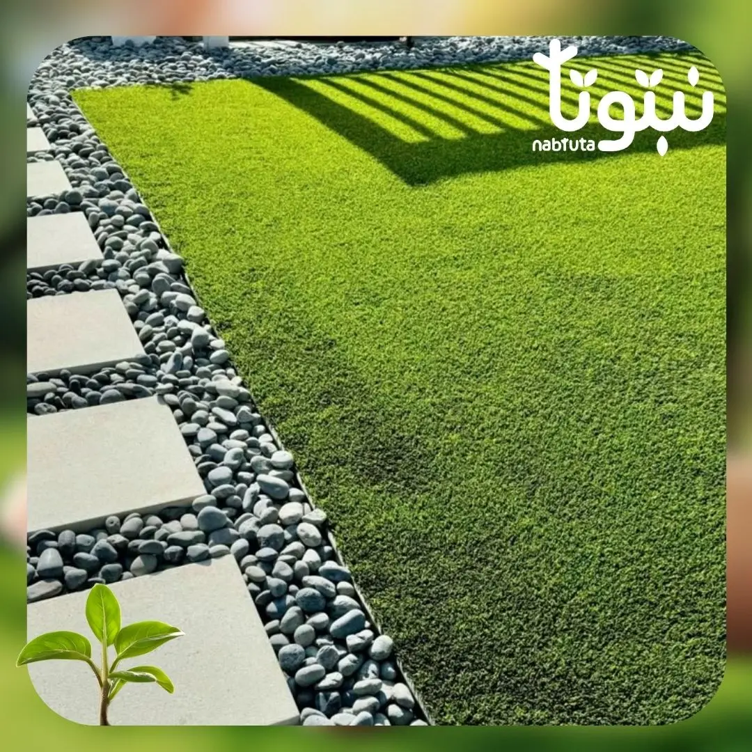 عشب صناعي للأسطح والشرفات - نبتوتا