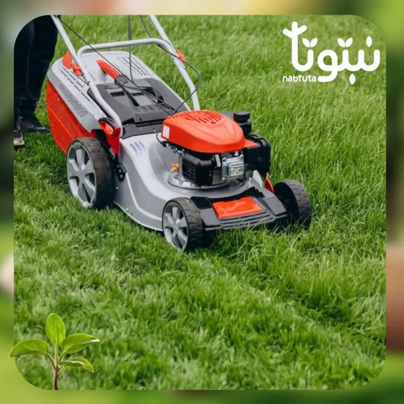 قص الأعشاب والعناية بالنجيلة - نبتوتا