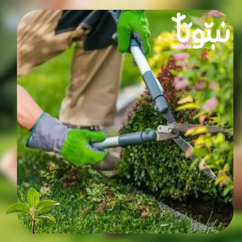 صيانة الري والتسميد - نبتوتا