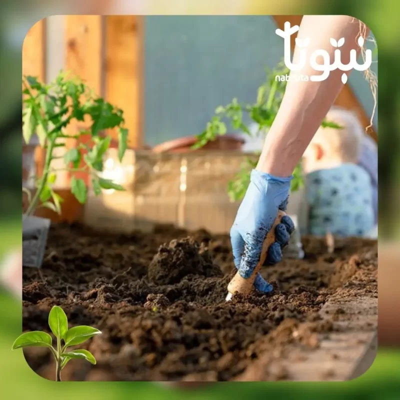 فريق صيانة الحدائق نبتوتا