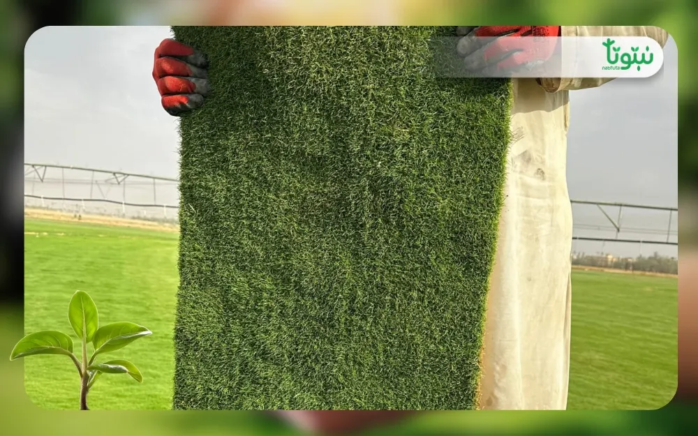 الثيل الطبيعي الياباني 3