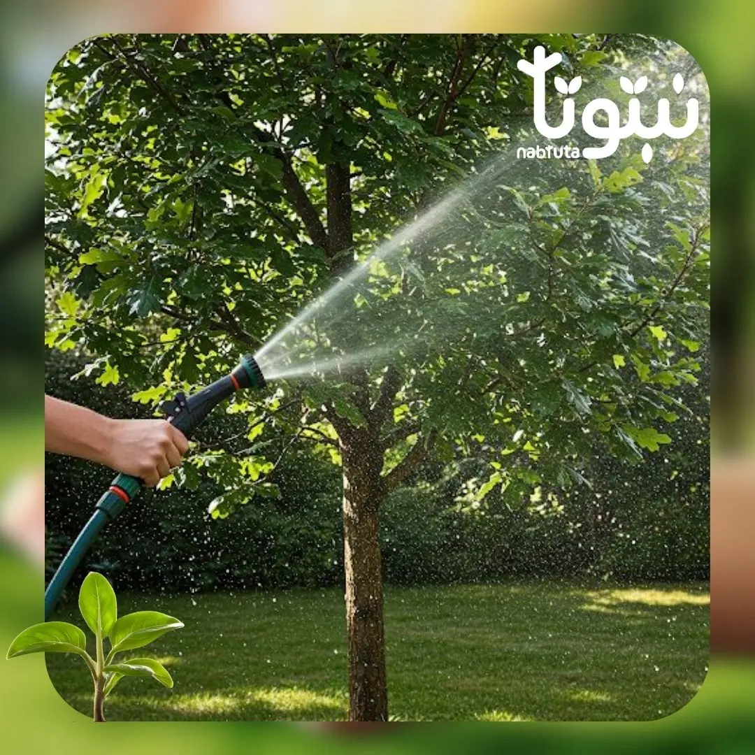 تركيب شبكات الري 1