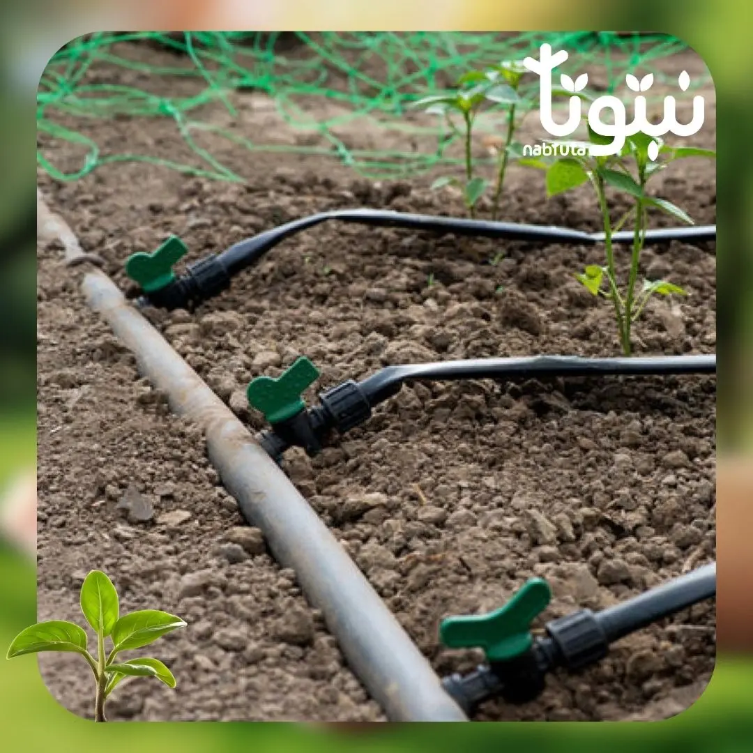 تركيب شبكات الري 2