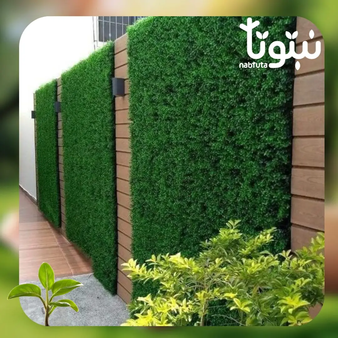 تركيب عشب جداري وتكسيات 4
