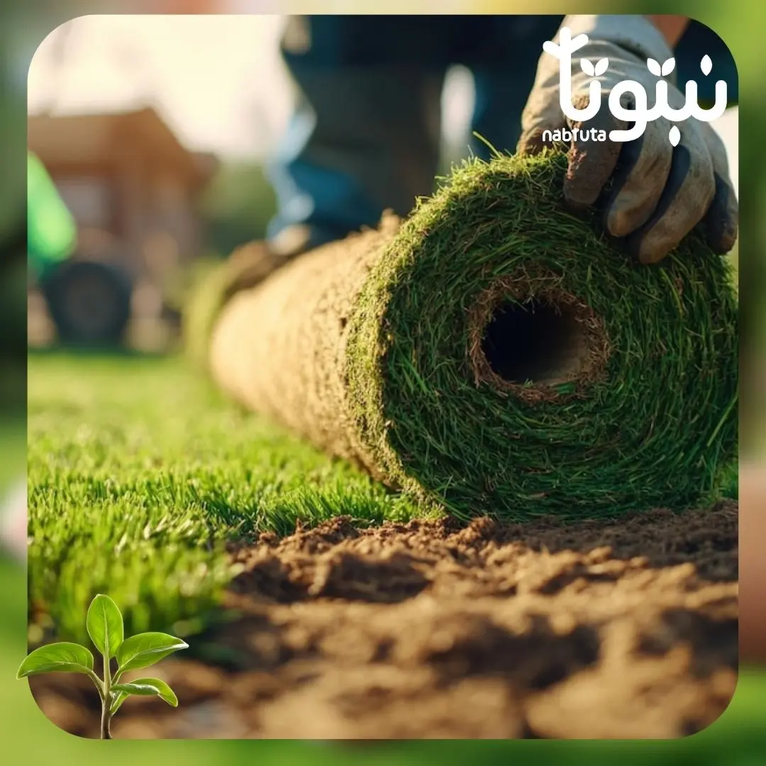 توريد وتركيب ثيل طبيعى 1