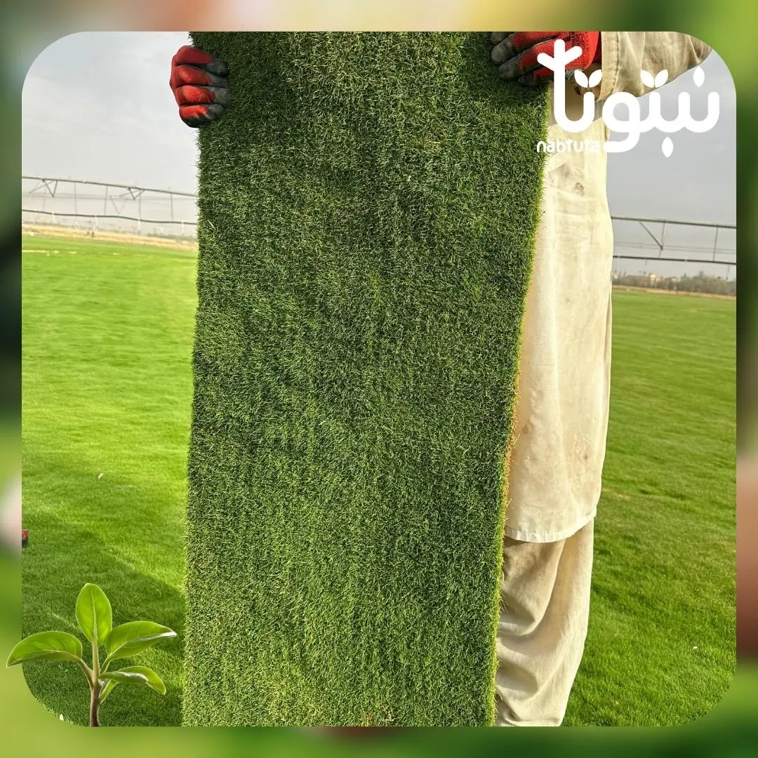 توريد وتركيب ثيل طبيعى 2