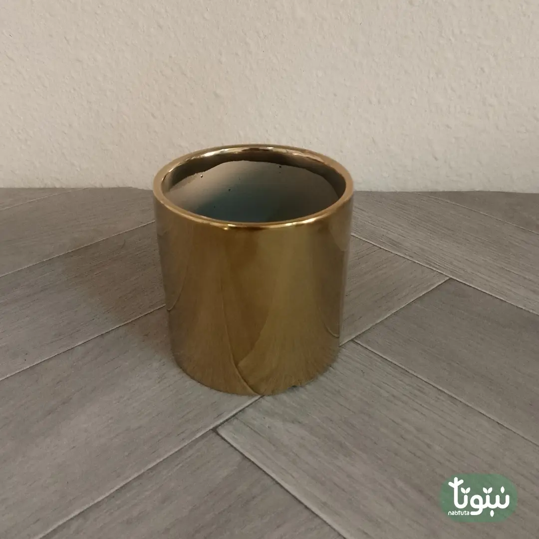 مراكن نباتات سيراميك ذهبي ٥