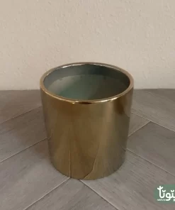 مراكن نباتات سيراميك ذهبي ٦