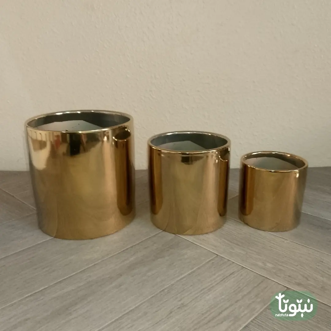 مراكن نباتات سيراميك ذهبي ٨