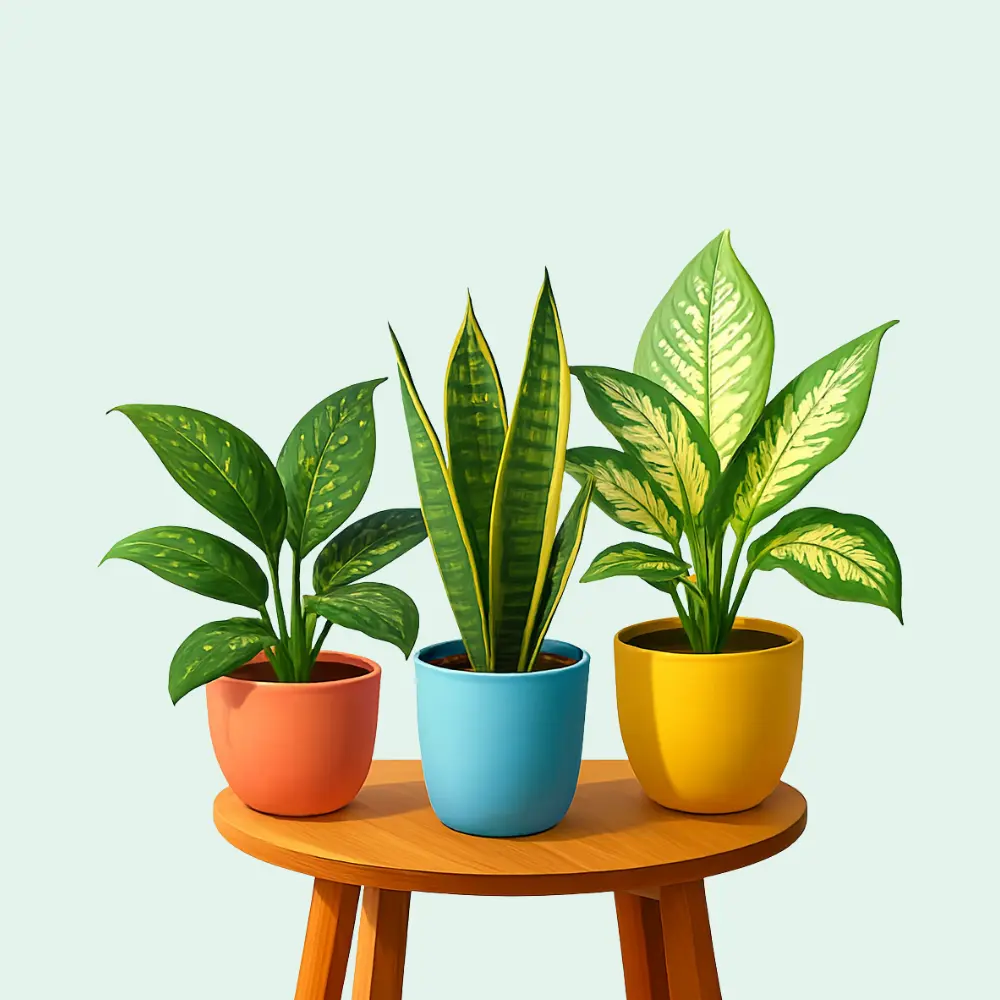 نباتات مجهزة صغيرة