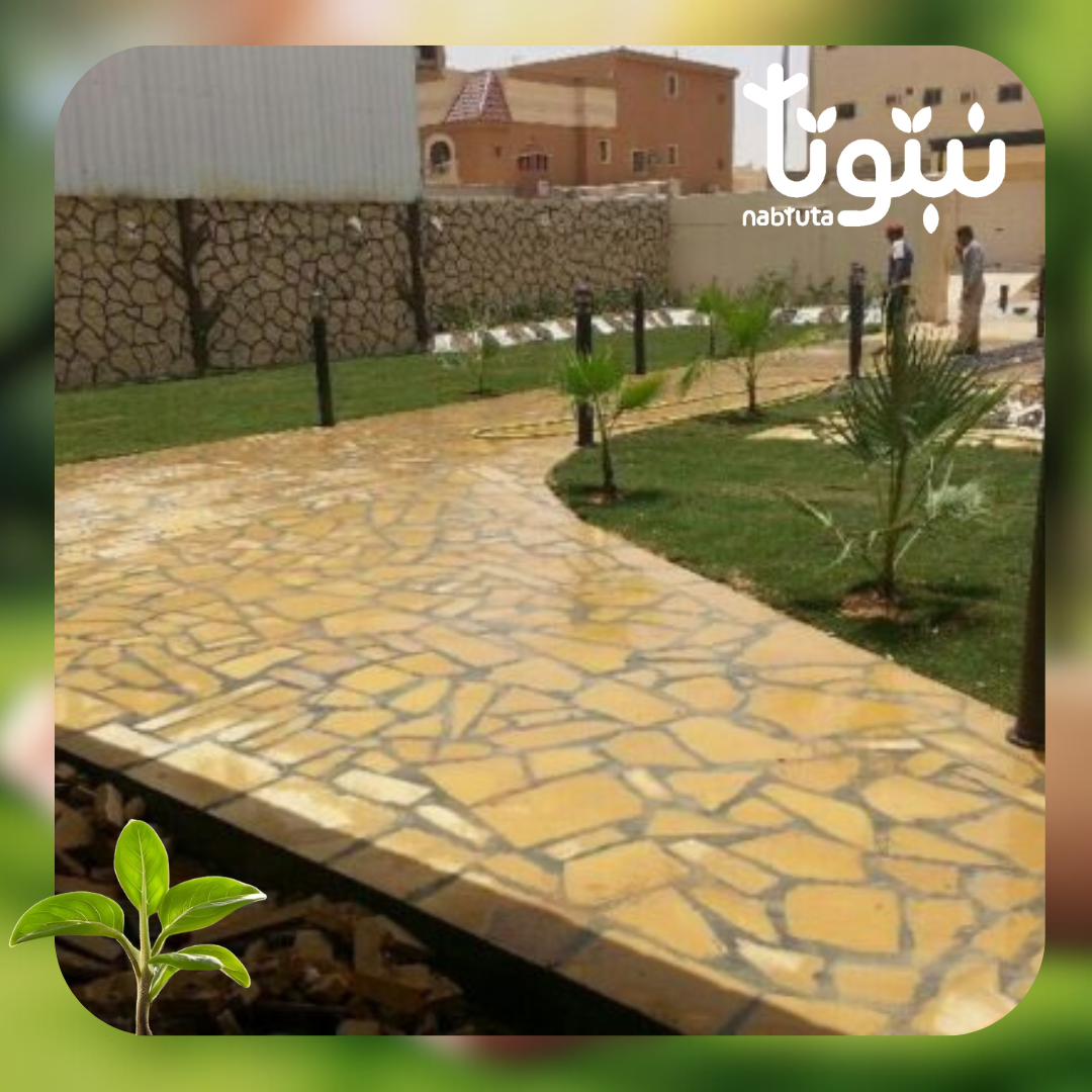 حجر عشوائي للأرضيات والمشايات نبتوتا