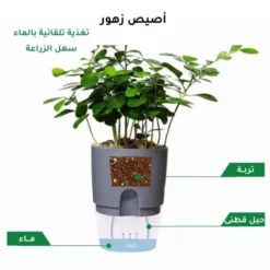 حوض ري زاتي شفاف 8 سم 4