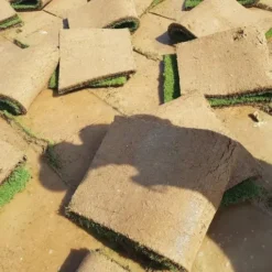 ثيل أنتورو طبيعي (عشب - نجيل) 1 متر - صورة 3 - ثيل طبيعي