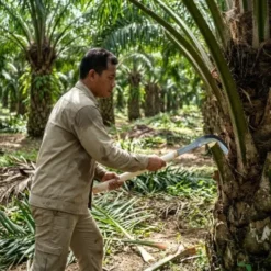 منجل تكريب النخيل يدوي - صورة 3 - أدوات الحديقة