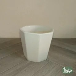 مراكن نباتات سيراميك ابيض مضلع (3 مقاسات) - صورة 2 - مراكن النباتات