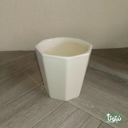 مراكن نباتات سيراميك ابيض مضلع (3 مقاسات) - صورة 3 - مراكن النباتات